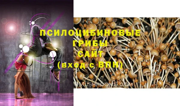 СК Протвино