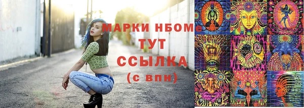 стафф Бородино