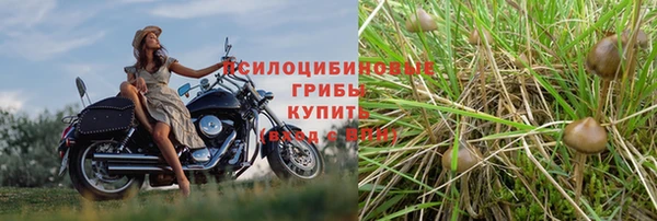 MDMA Premium VHQ Бугульма