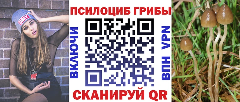 Галлюциногенные грибы Magic Shrooms  KRAKEN ссылка  Кирово-Чепецк  закладка 